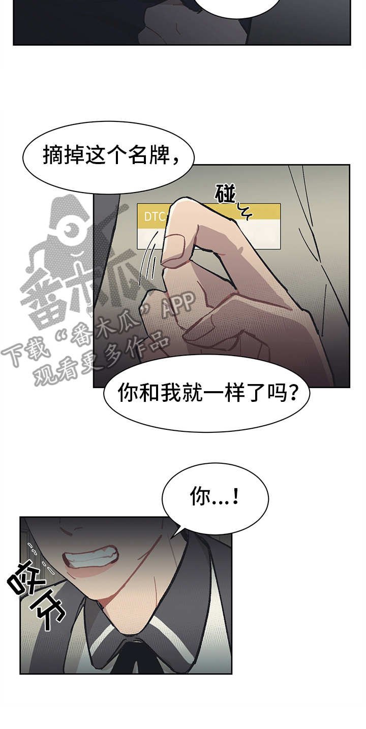 第14章：挑衅