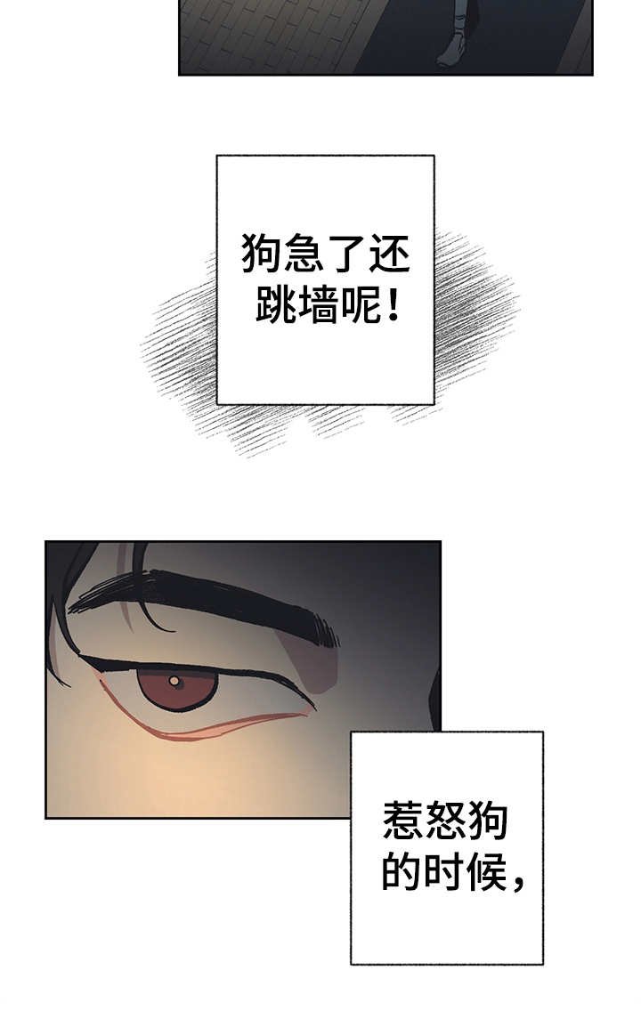 第18章：很好奇