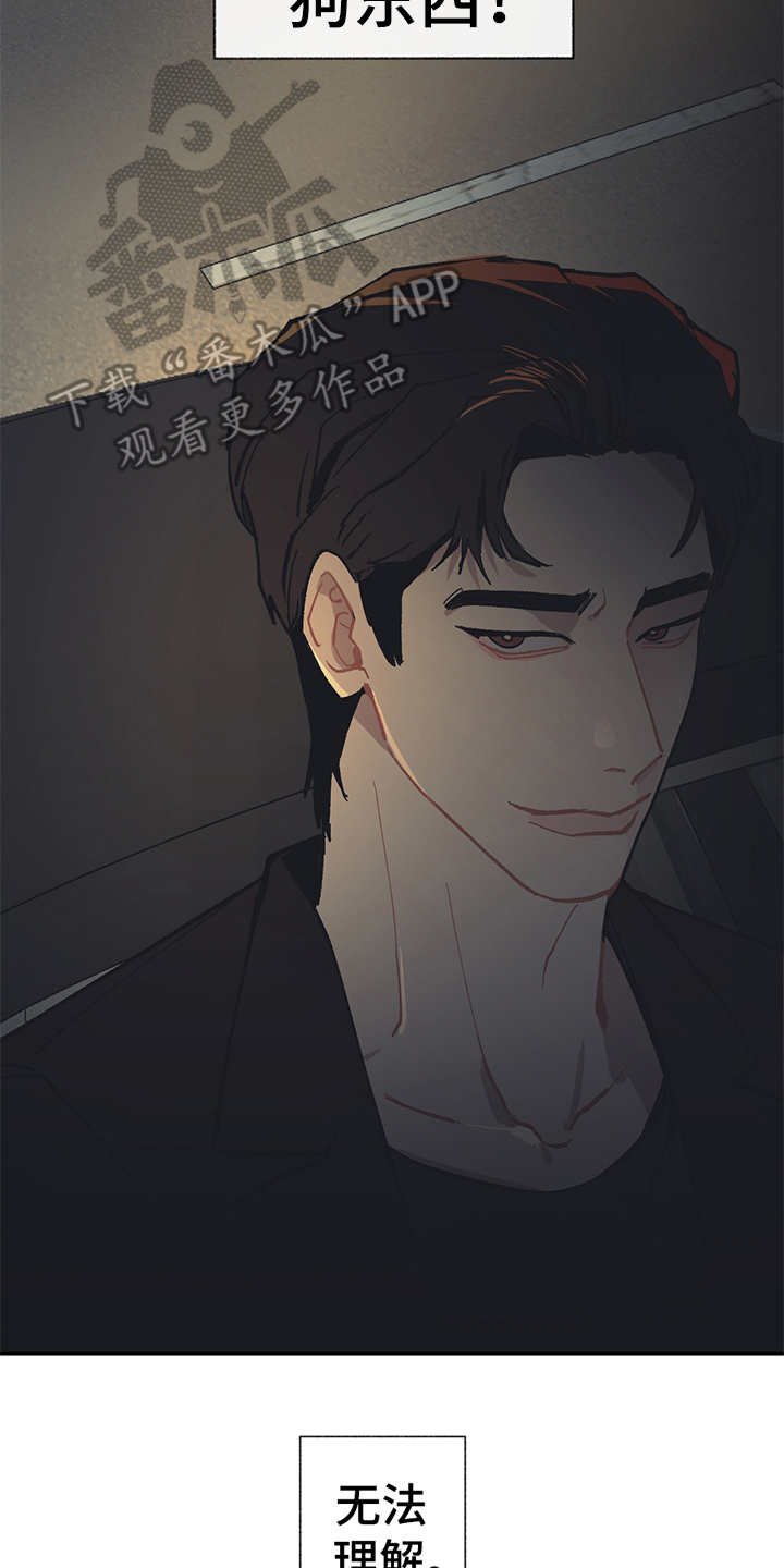 第18章：很好奇