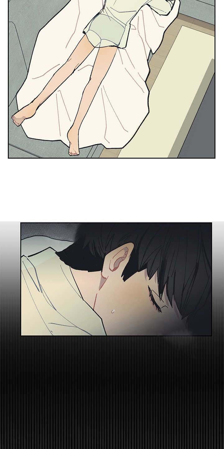 第19章：毒蛇