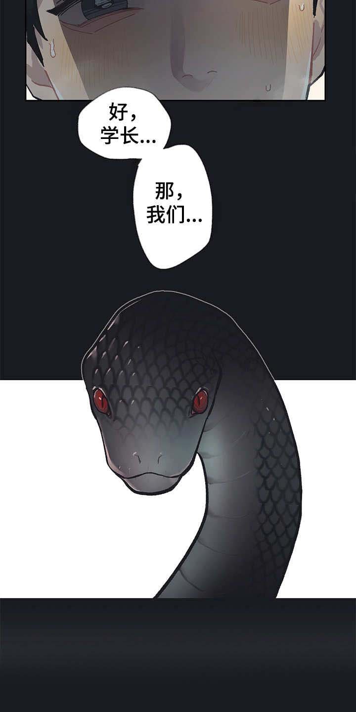 第19章：毒蛇