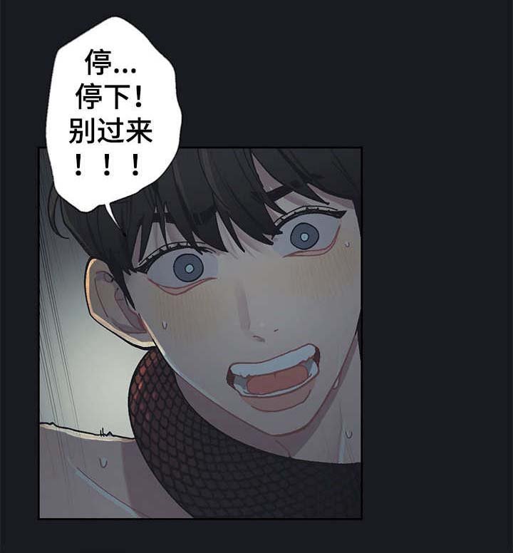 第19章：毒蛇
