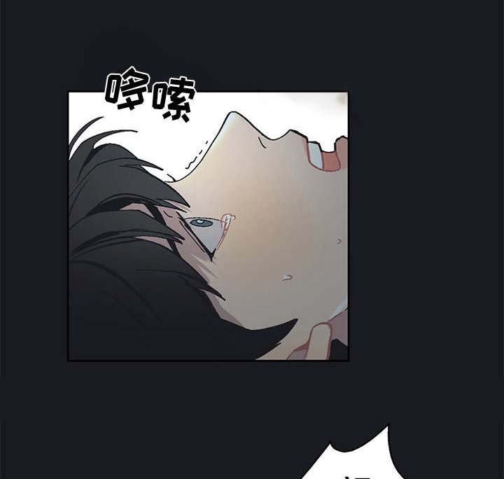 第19章：毒蛇