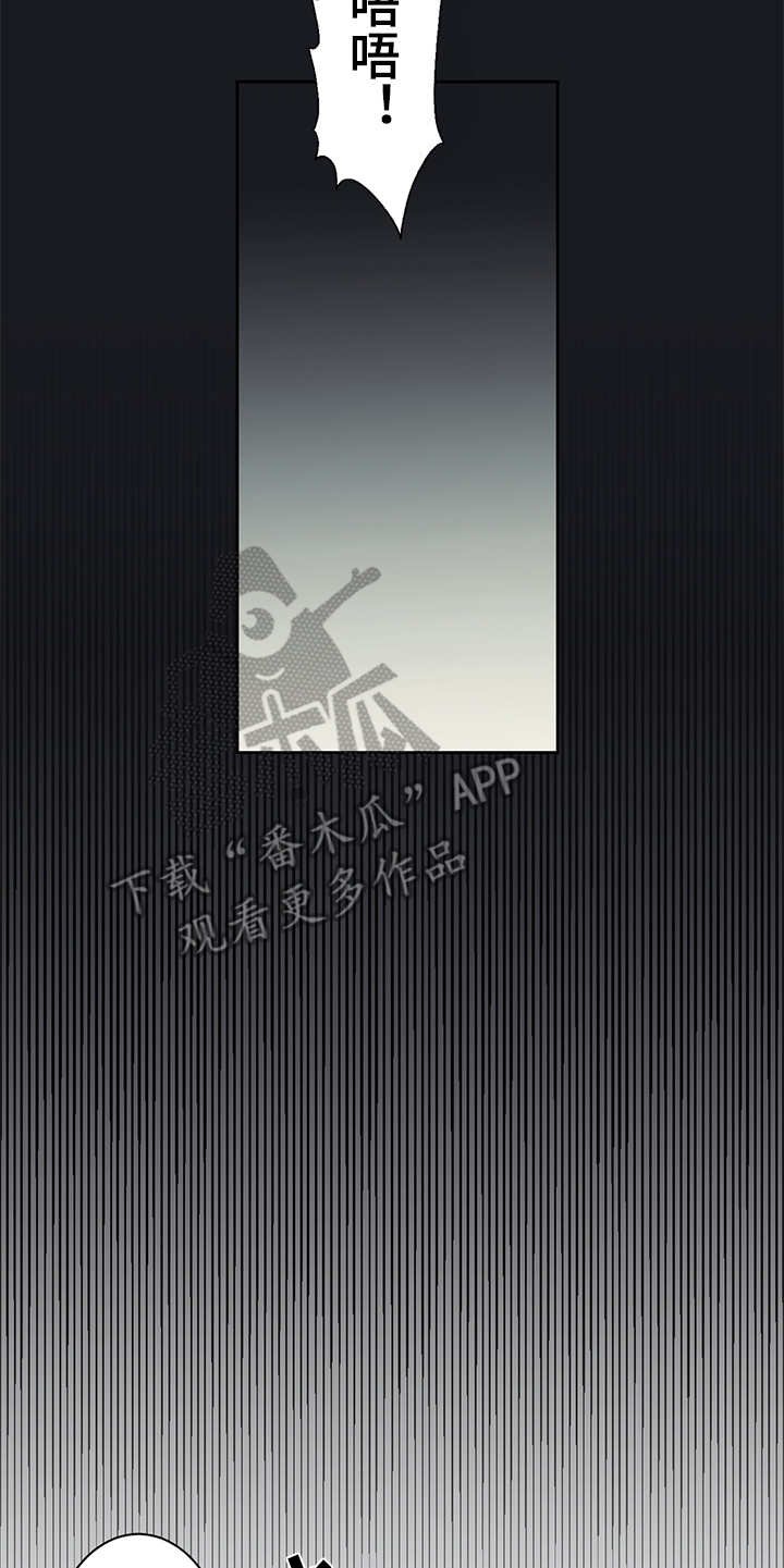第19章：毒蛇