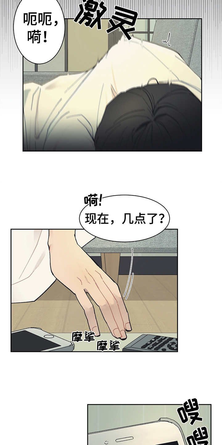 第19章：毒蛇