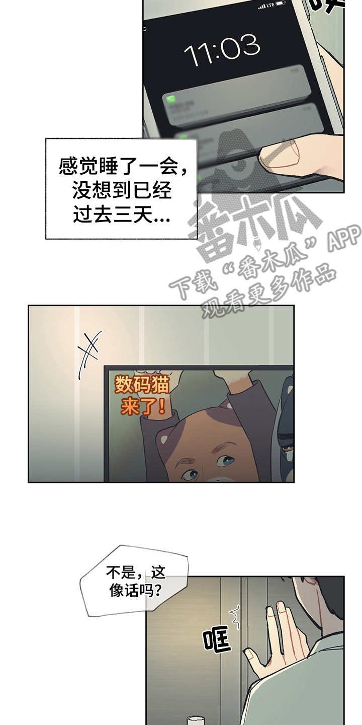 第19章：毒蛇
