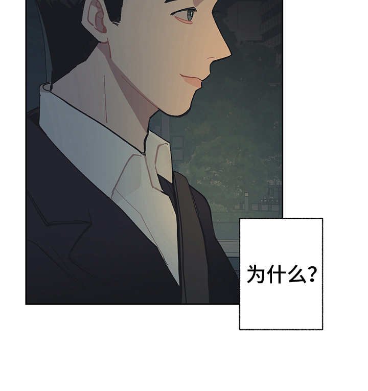 第23章：调查
