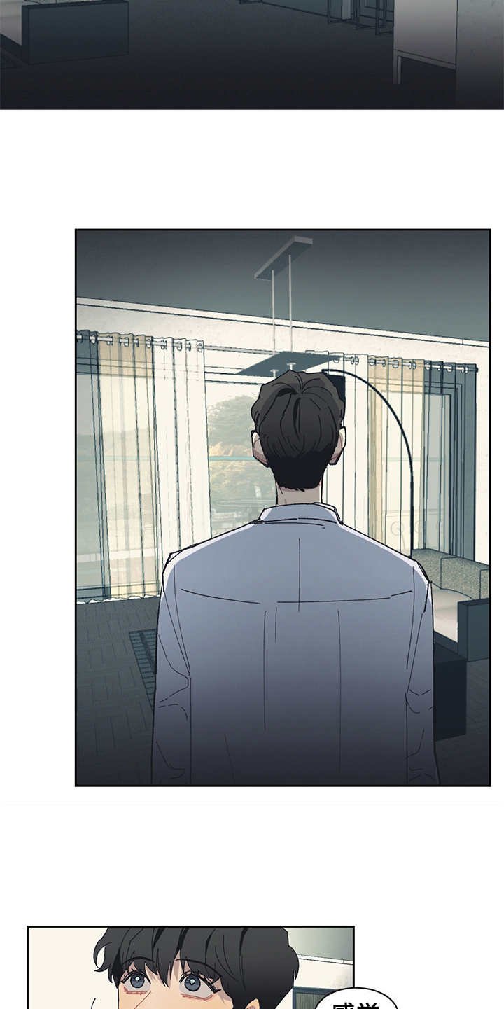 第26章：报告书