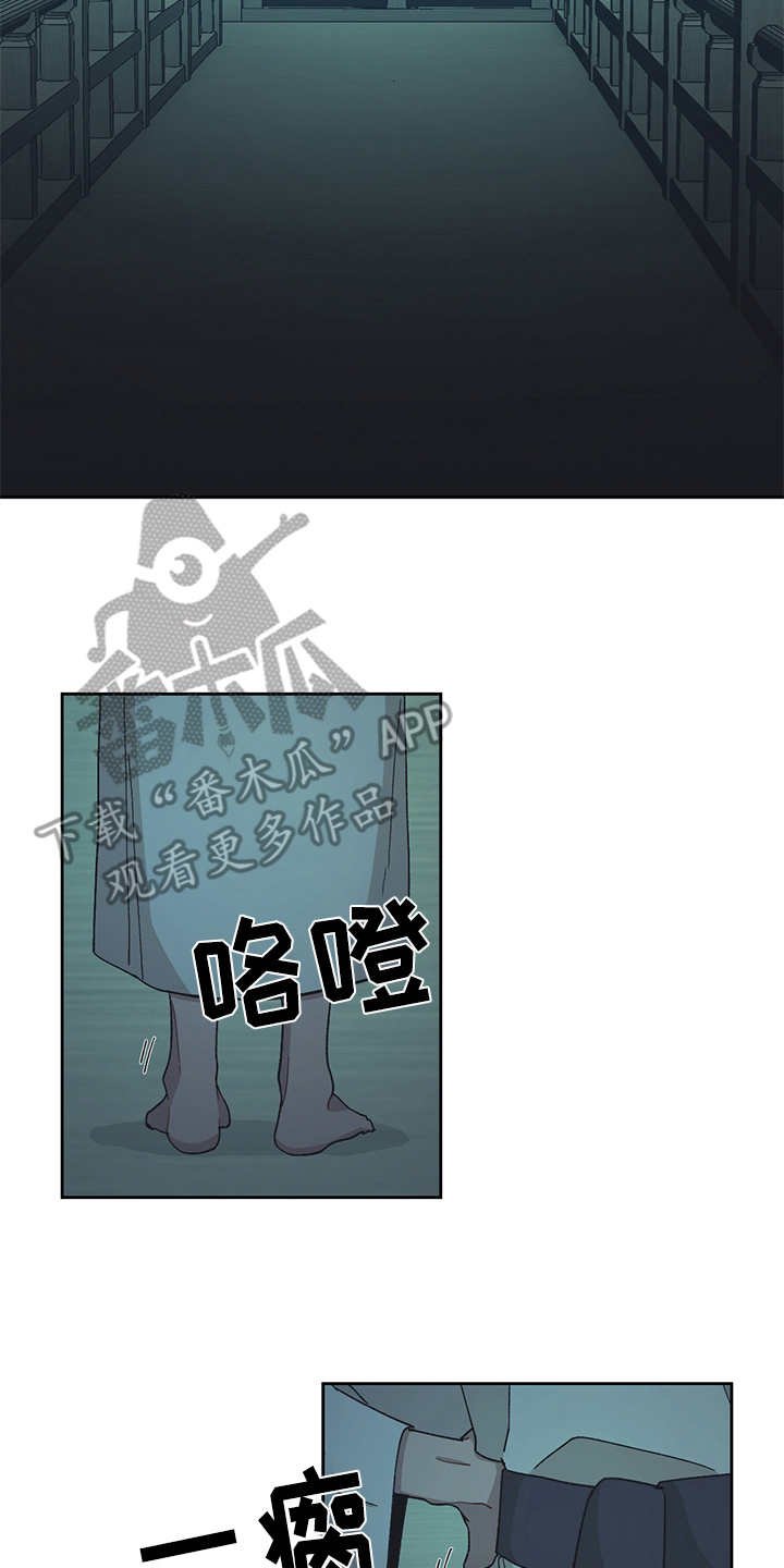 第45章：黑影