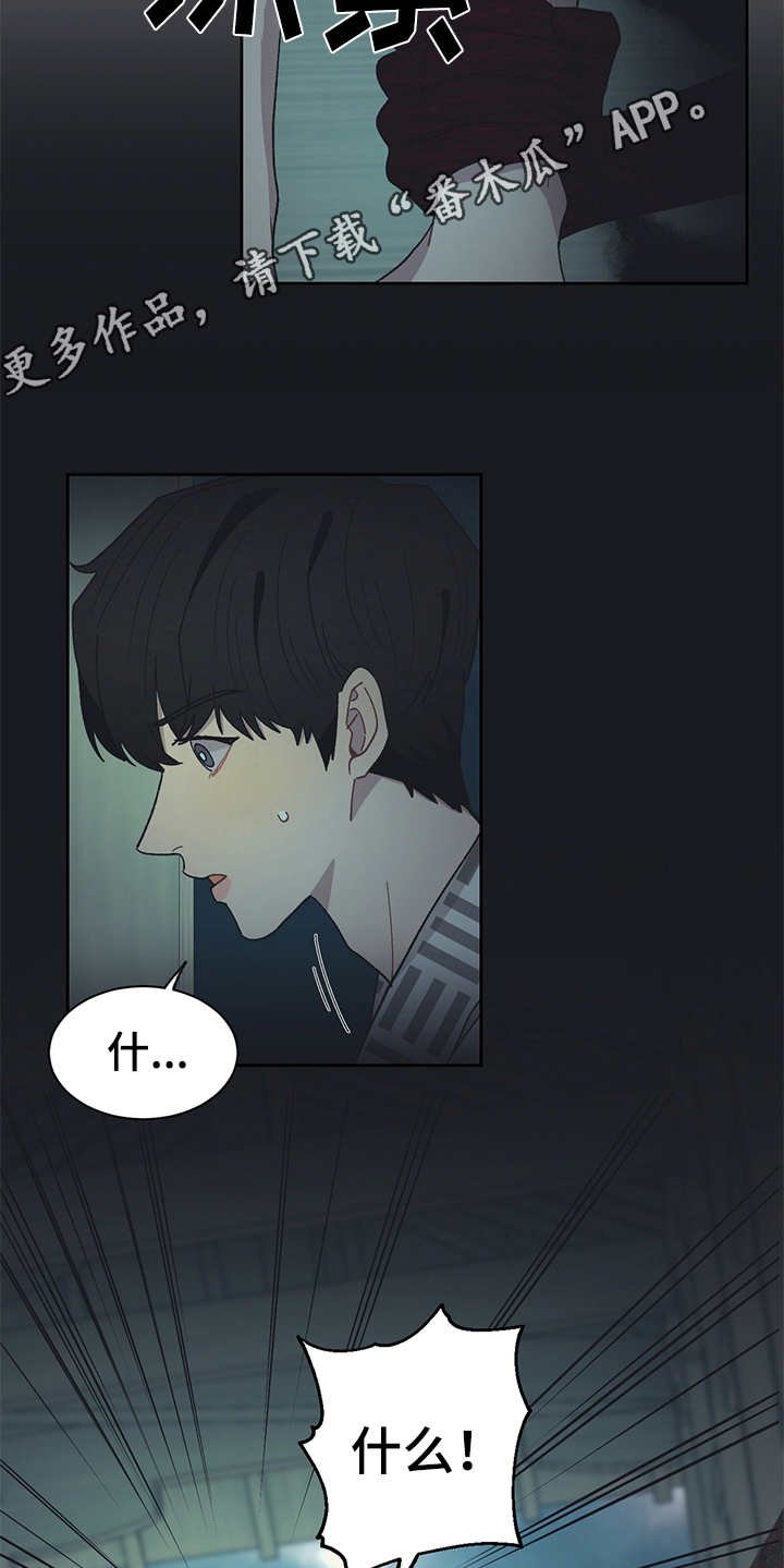 第45章：黑影
