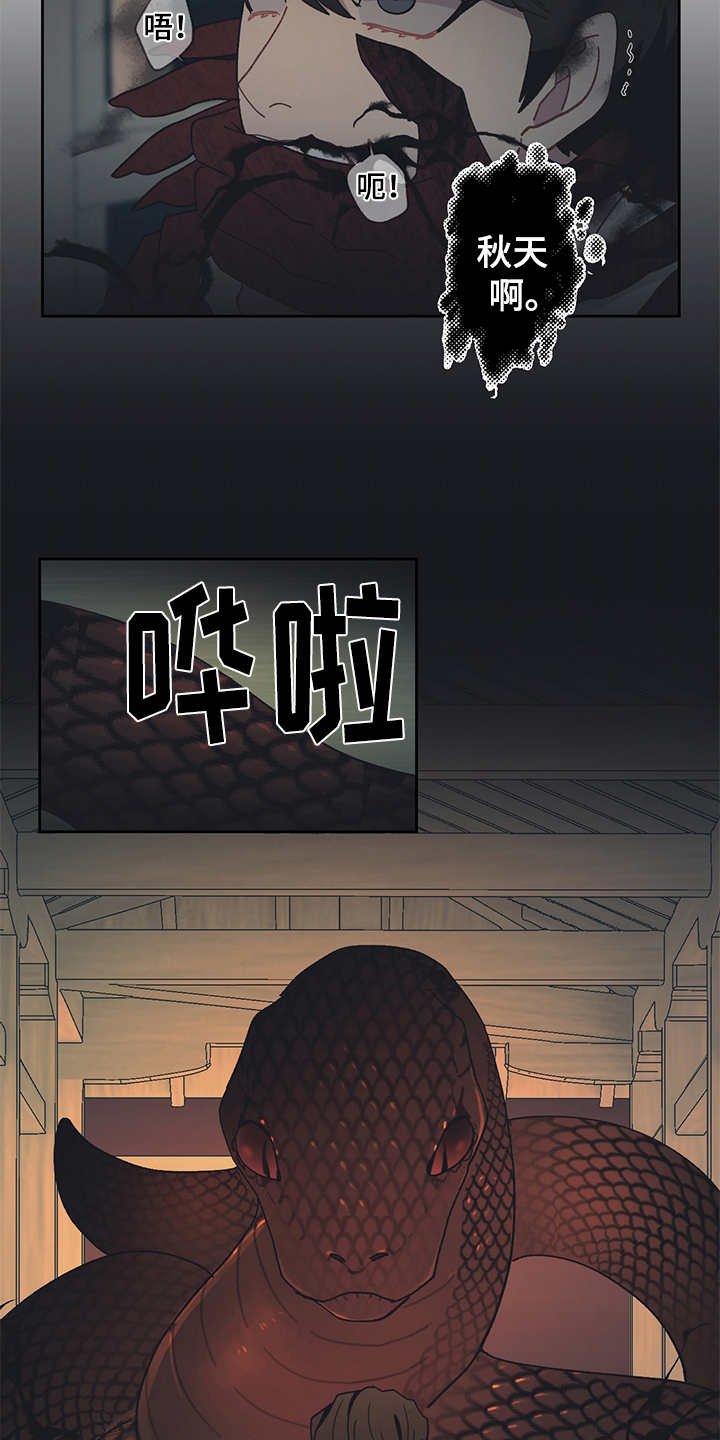 第45章：黑影