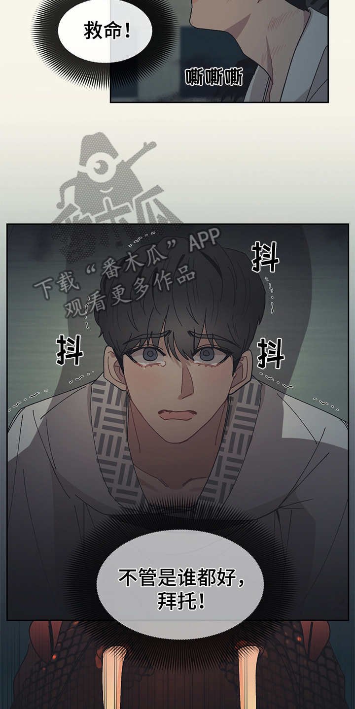 第45章：黑影