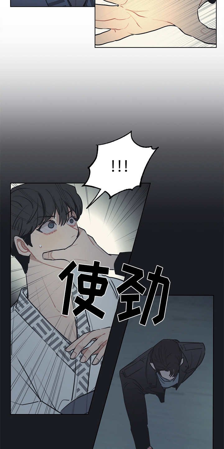 第47章：双胞胎
