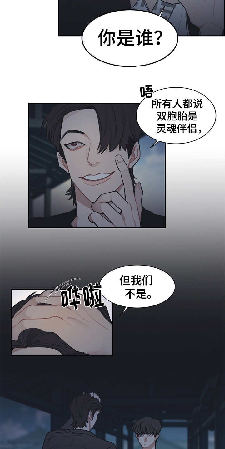 第47章：双胞胎