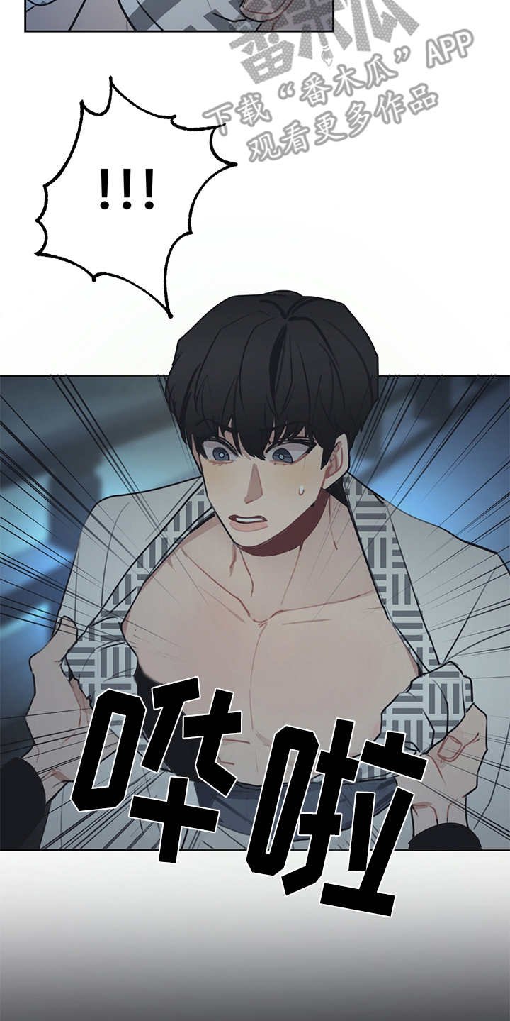 第47章：双胞胎