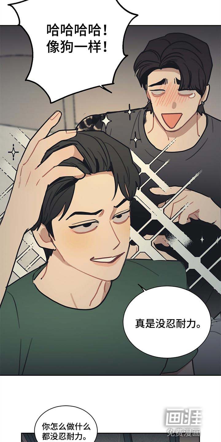第77章：【番外】真正的爱情