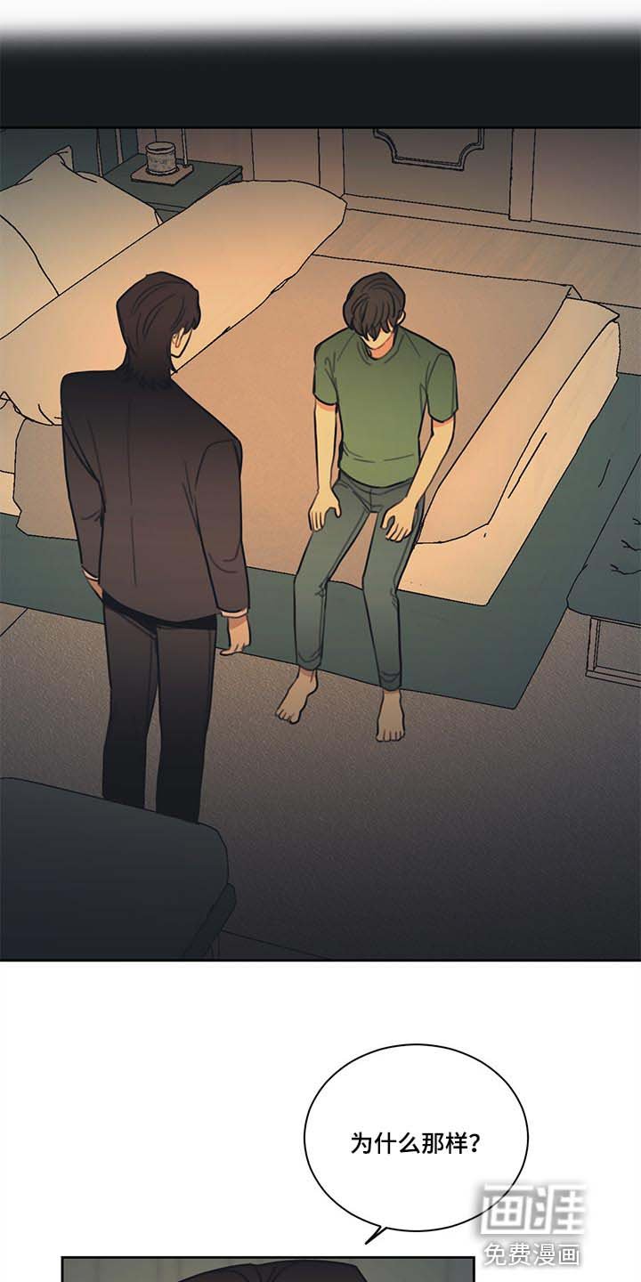 第78章：【番外】特别的记忆