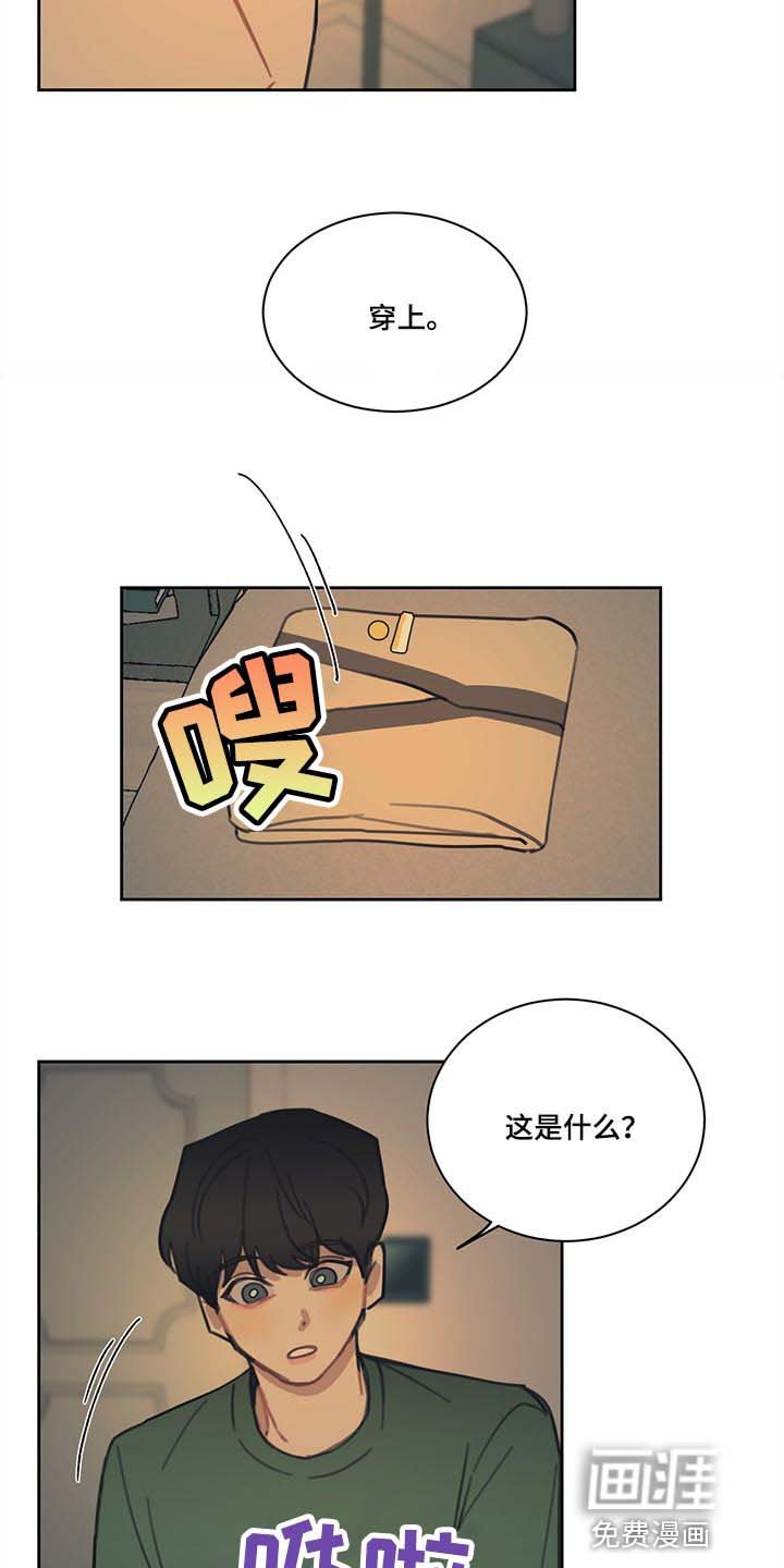 第78章：【番外】特别的记忆
