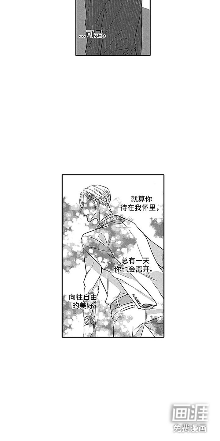 第24章：表白