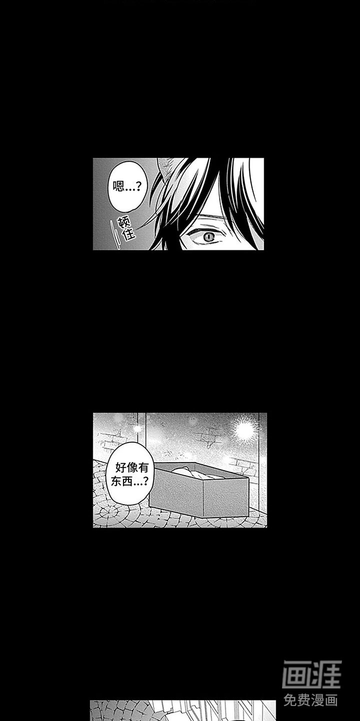 第26章：【番外1】捡来的孩子