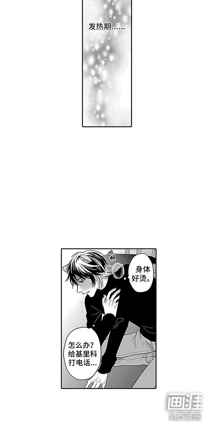 第29章：【番外1】结为伴侣 