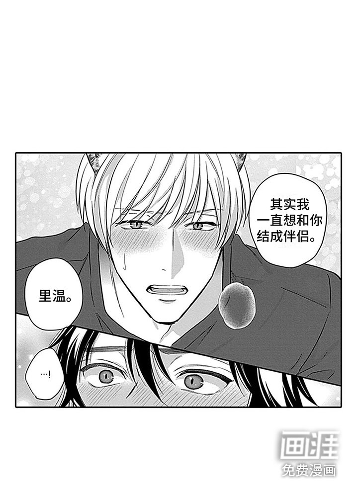 第29章：【番外1】结为伴侣 