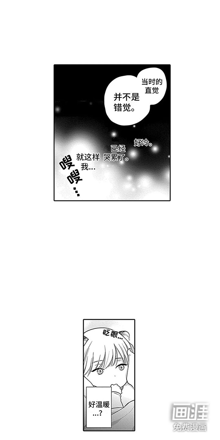 第29章：【番外1】结为伴侣 