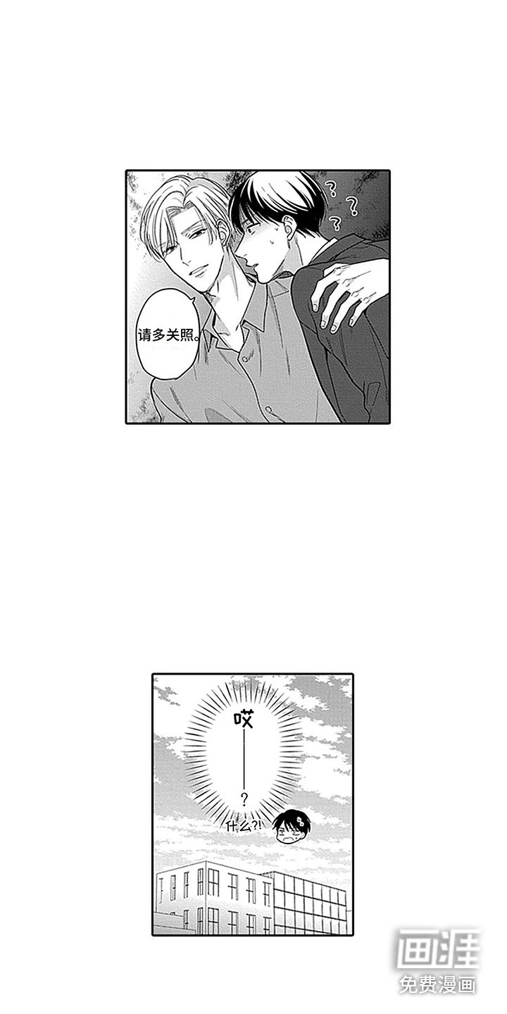 第4章：条件