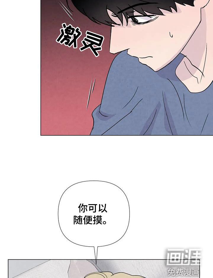 第104章：【番外】受欢迎