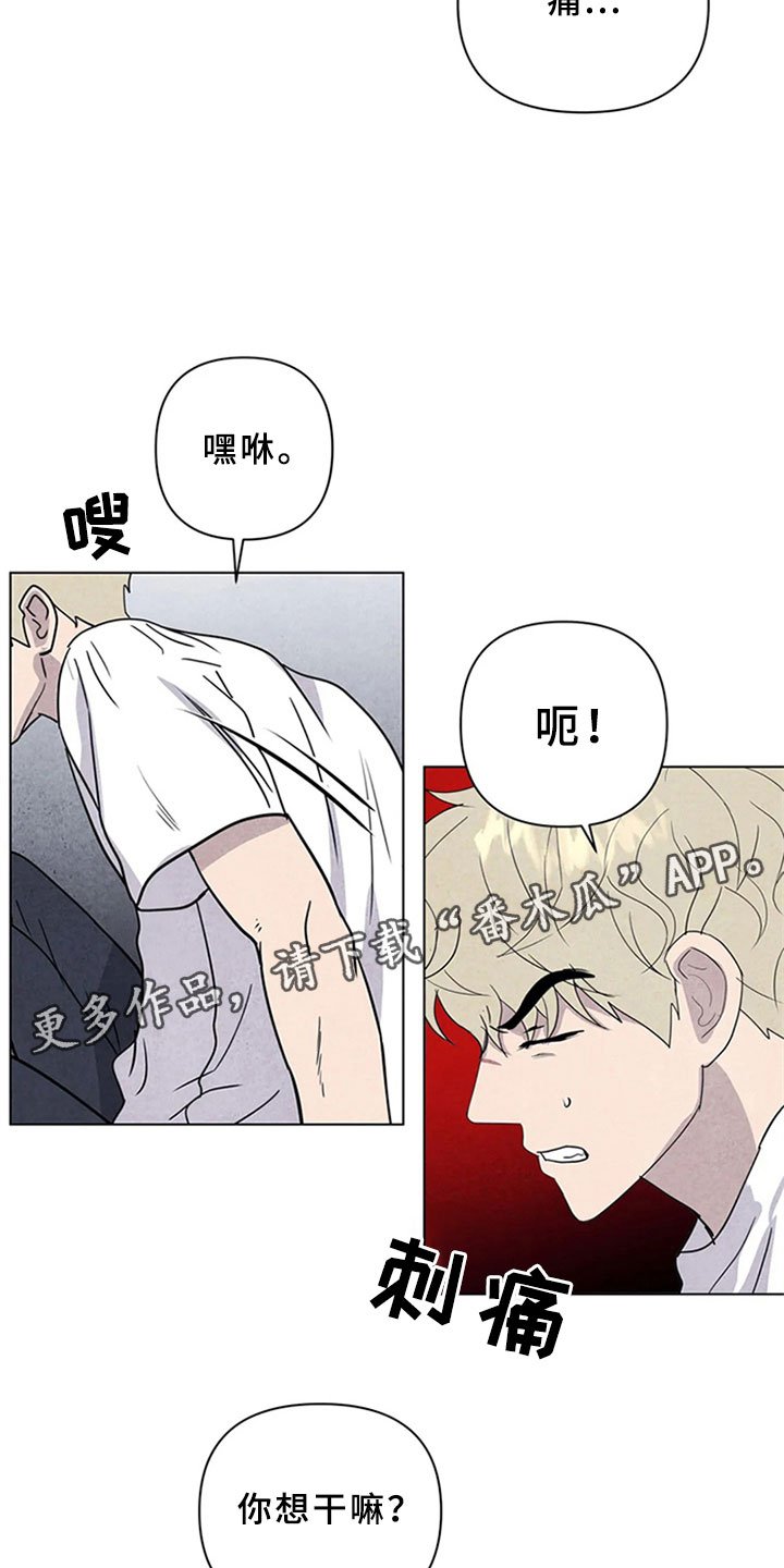 第15章：帮忙