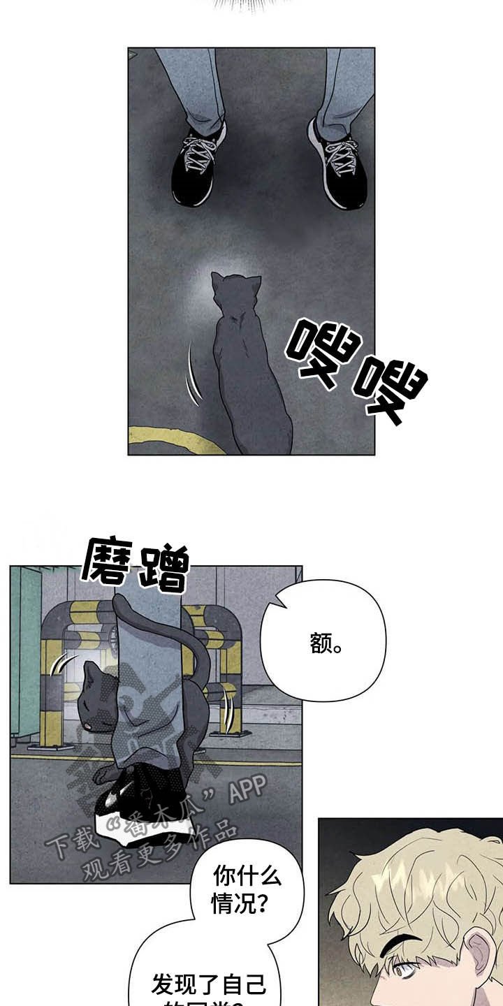 第17章：取名
