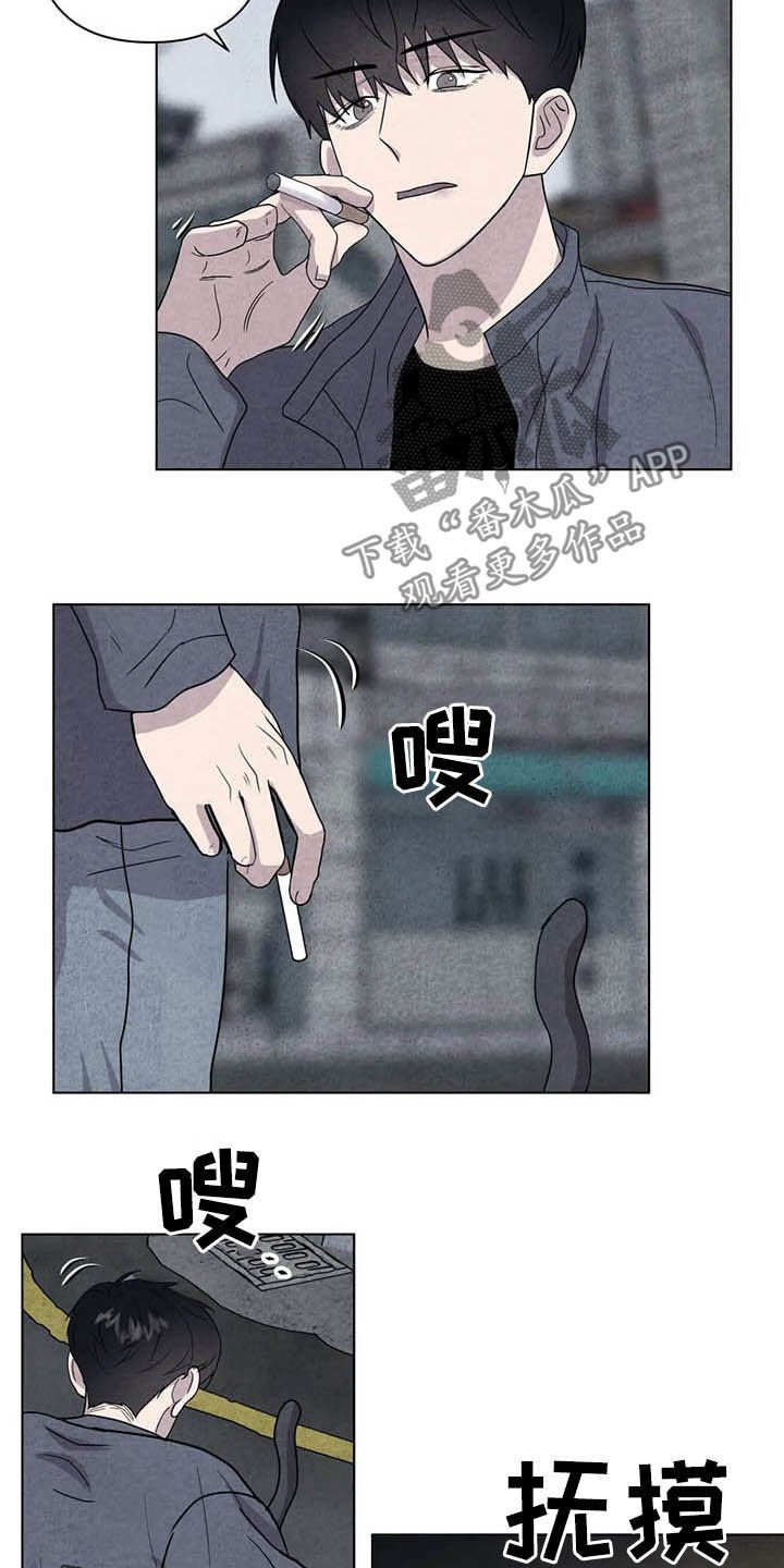 第17章：取名