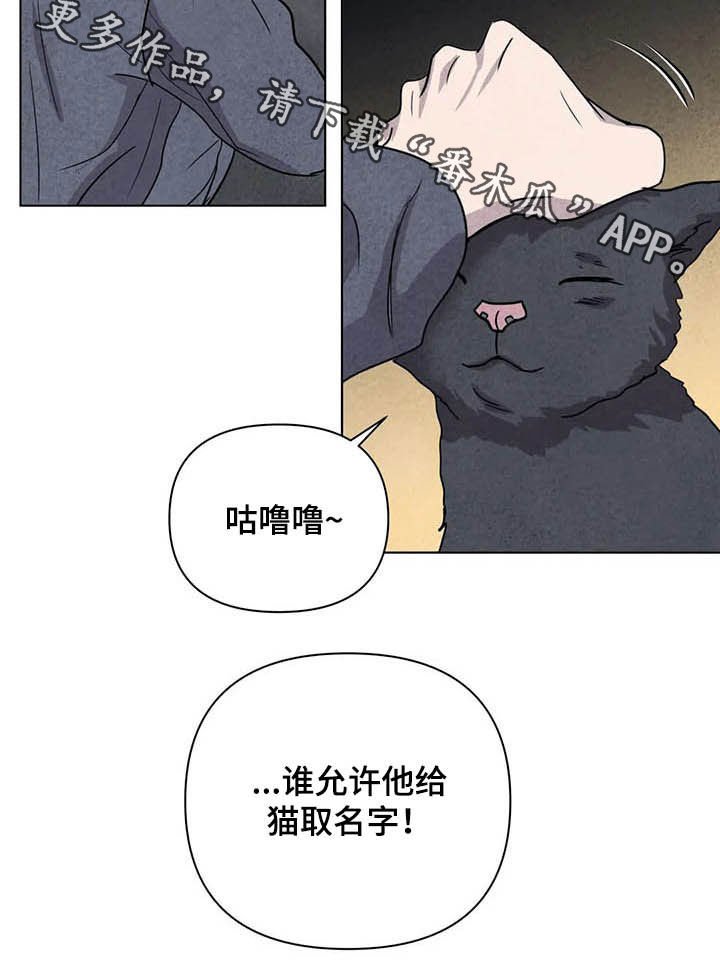 第17章：取名