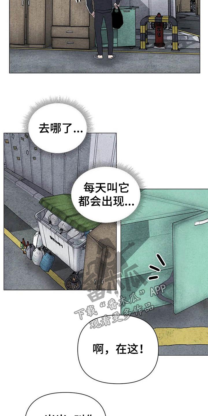 第29章：米米受伤
