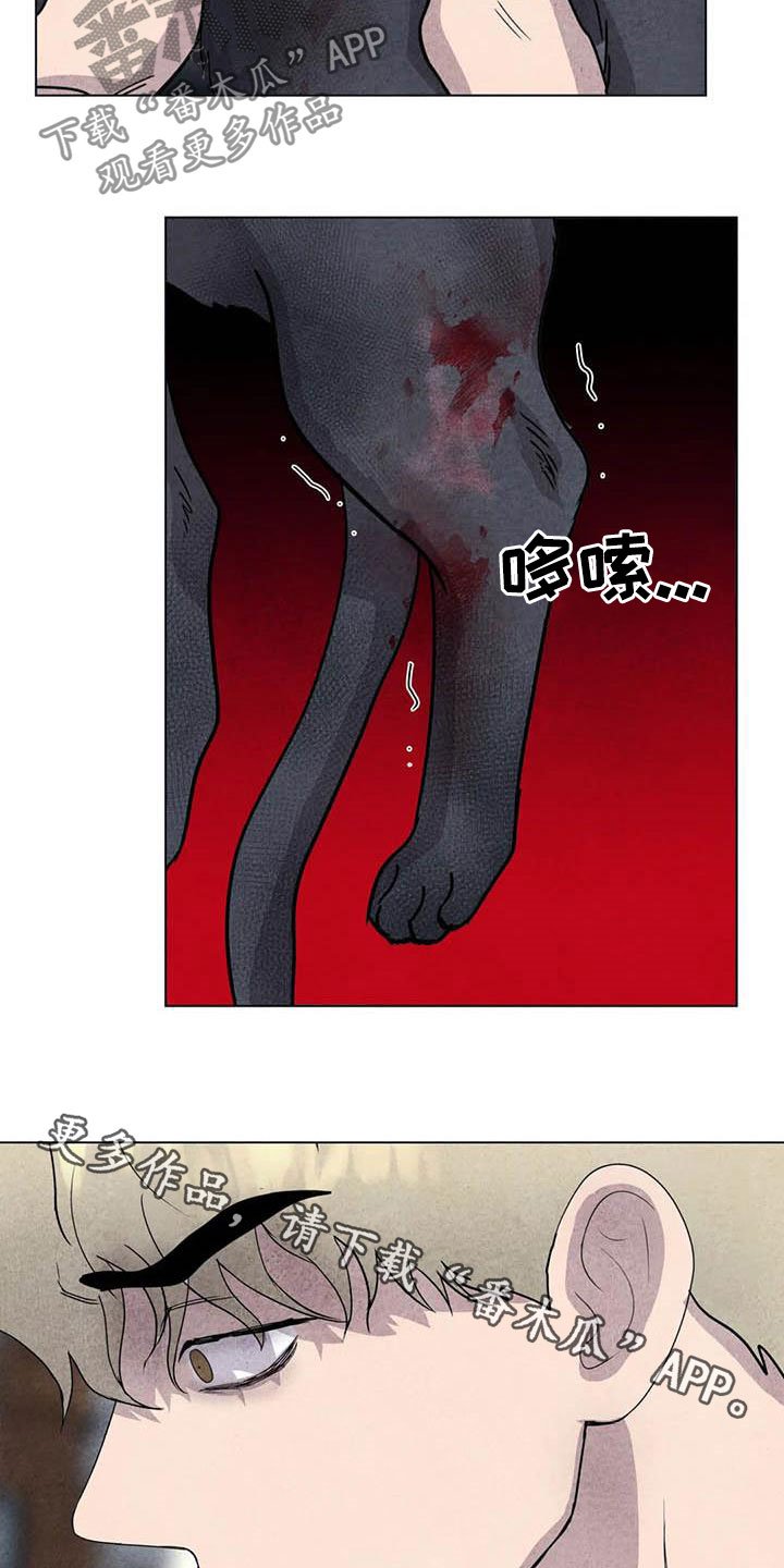 第29章：米米受伤