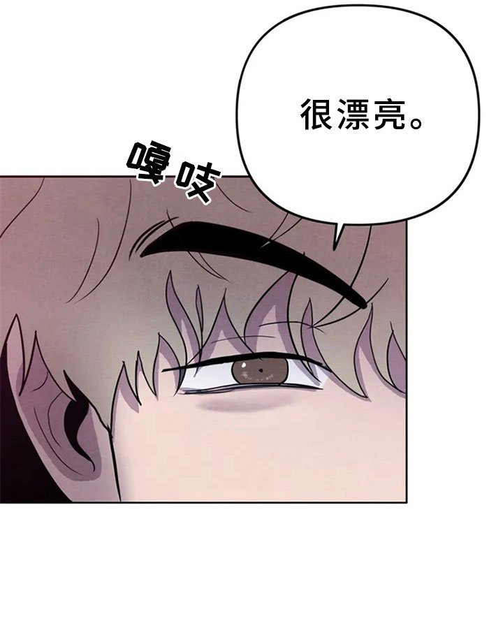 第3章：见面