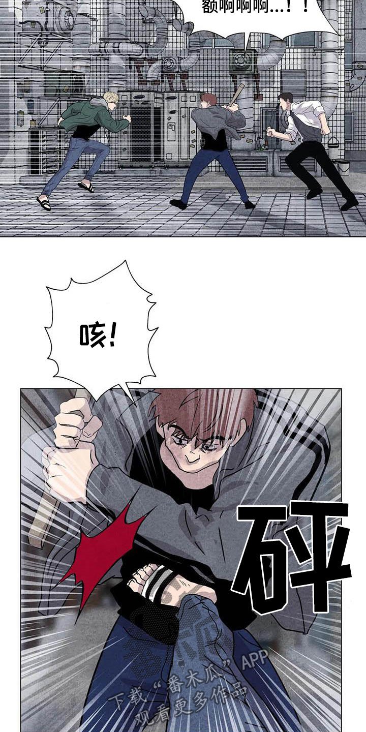 第31章：打架