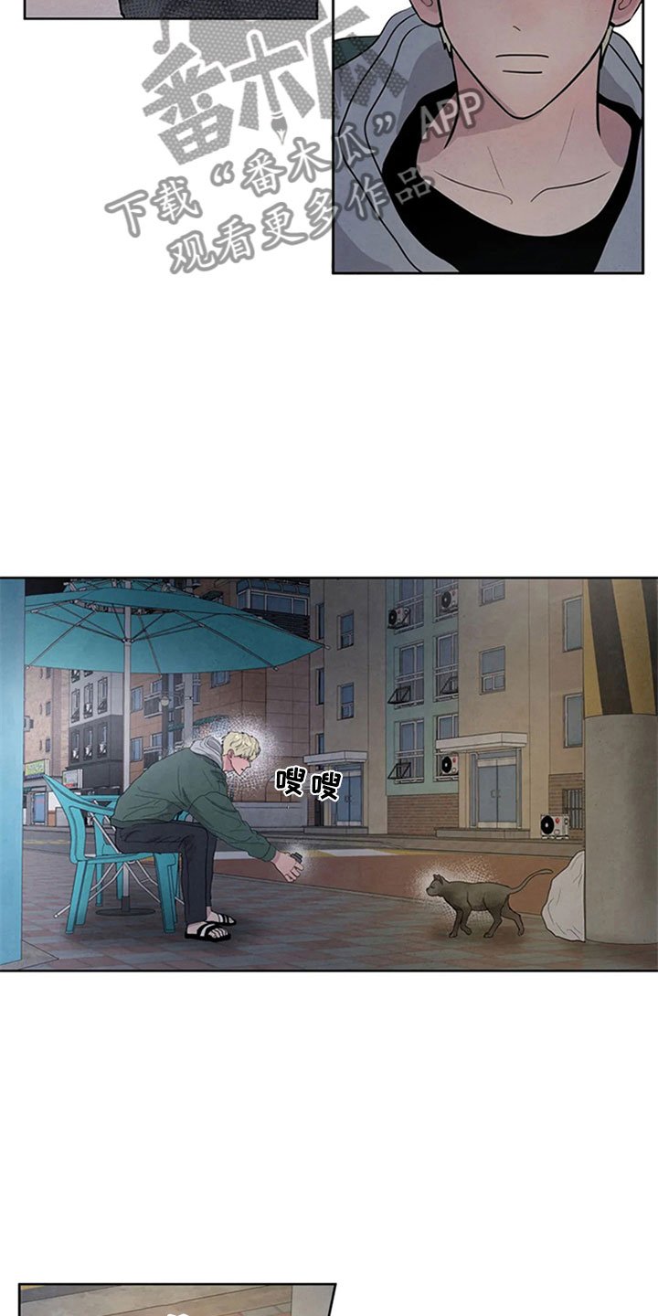 第4章：生鱼片