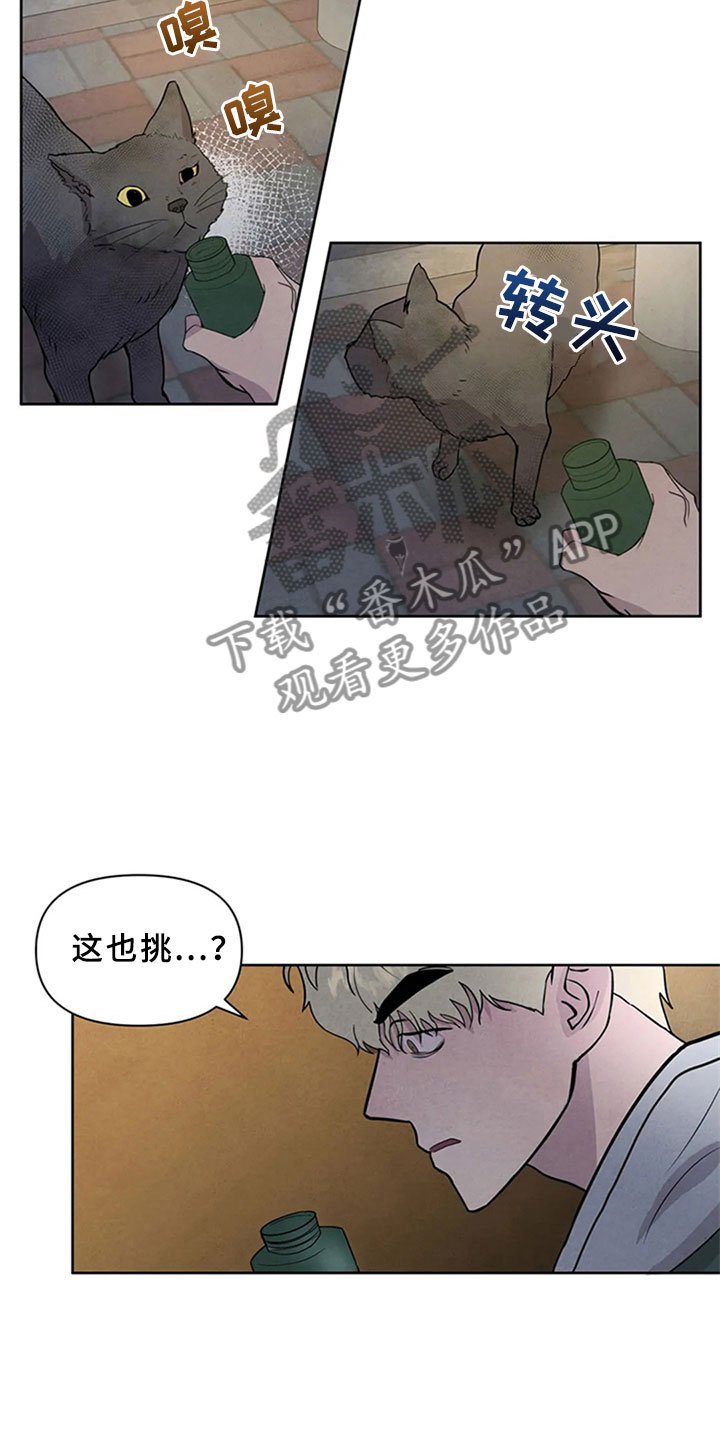 第4章：生鱼片