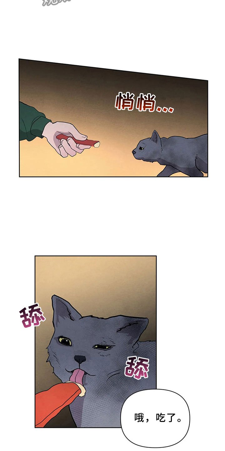 第4章：生鱼片