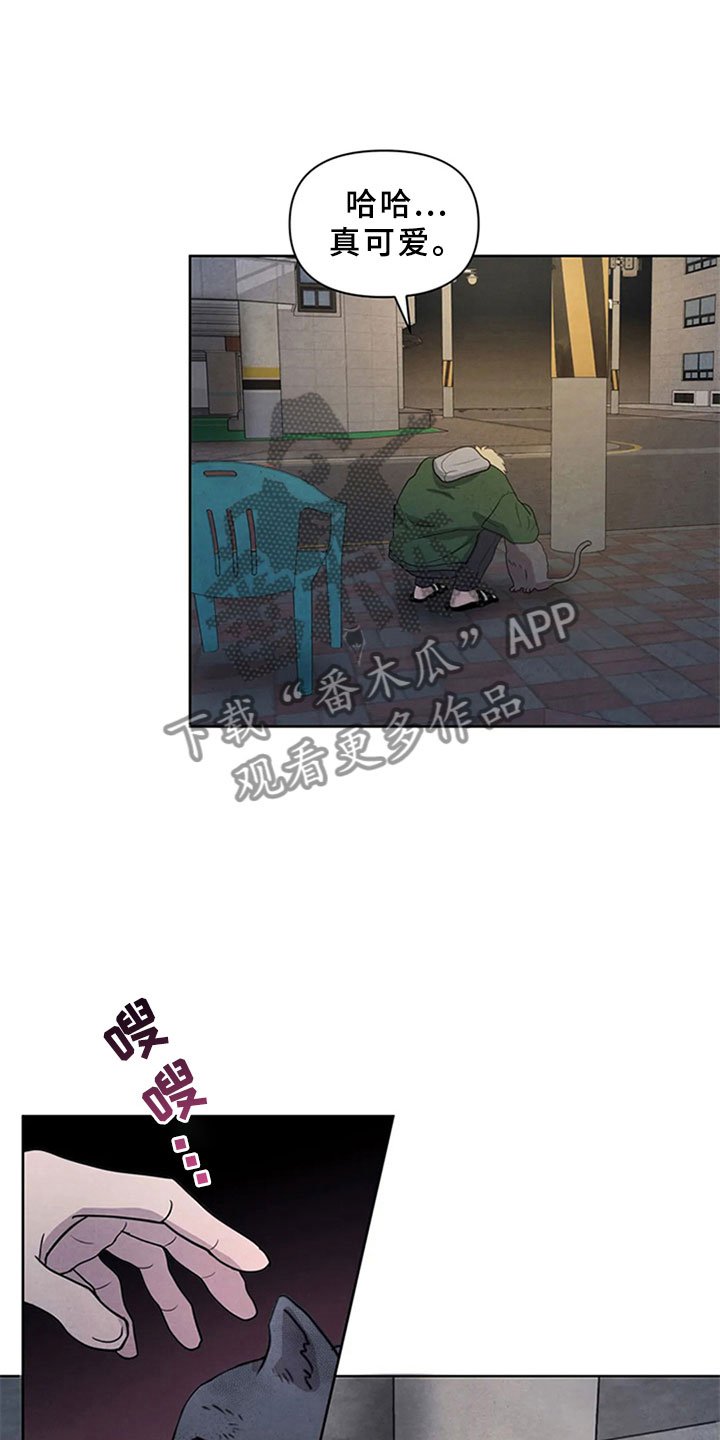 第4章：生鱼片