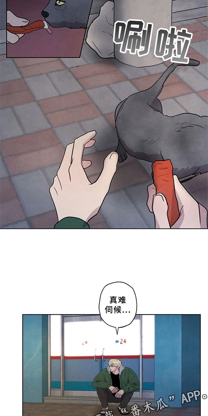 第4章：生鱼片