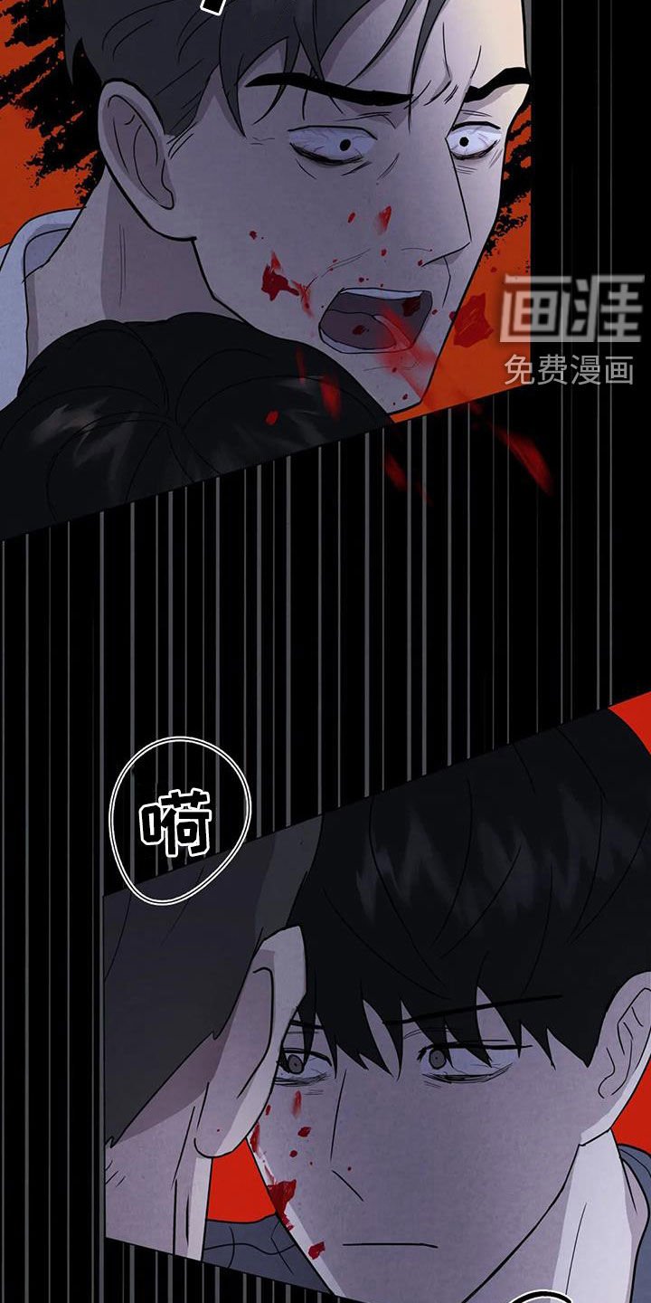 第44章：计划