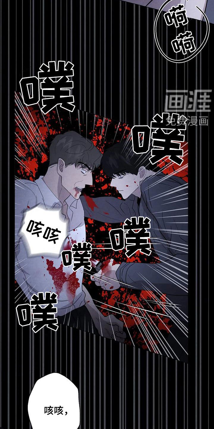 第44章：计划
