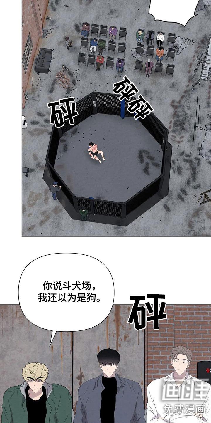 第47章：斗犬场