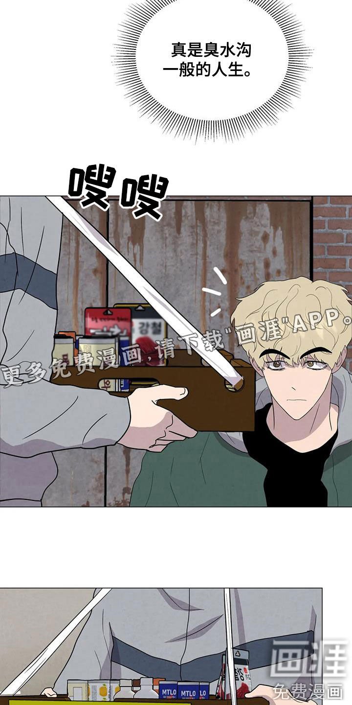 第47章：斗犬场