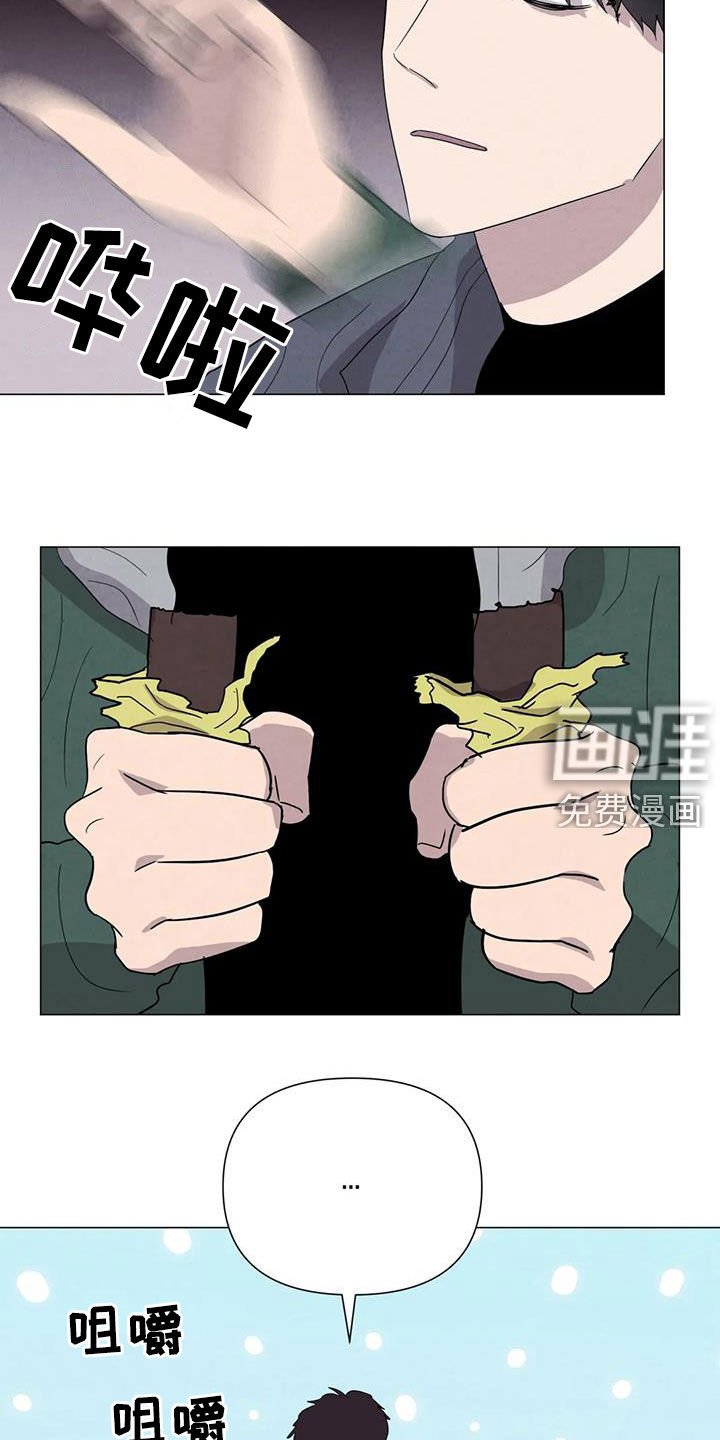第47章：斗犬场