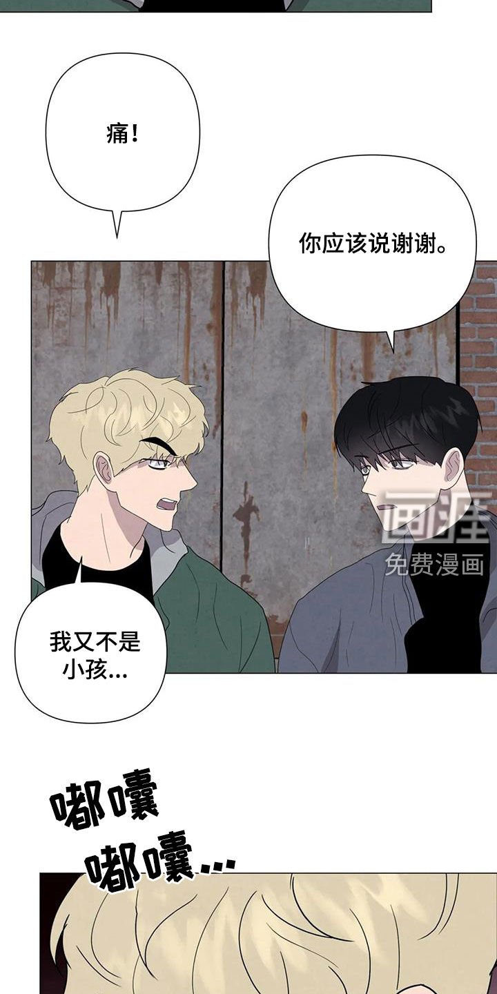 第47章：斗犬场