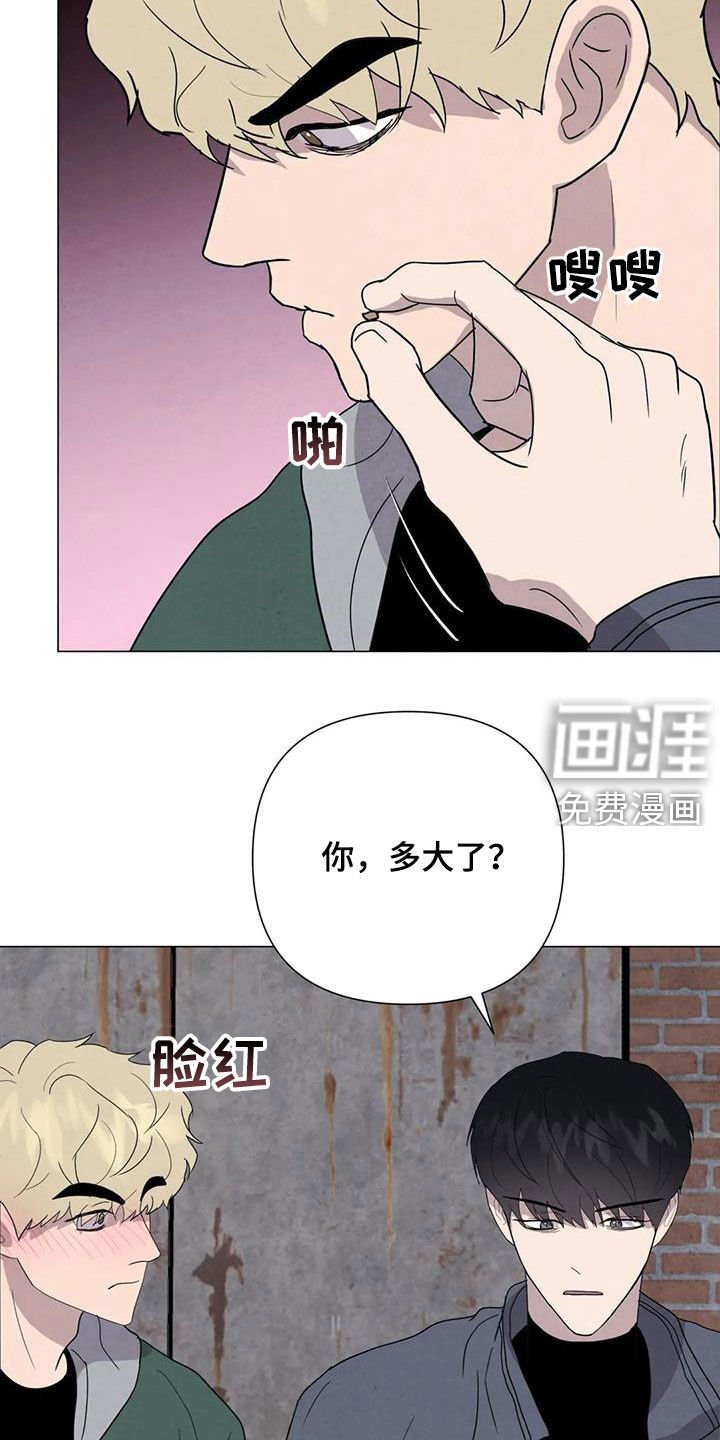第47章：斗犬场