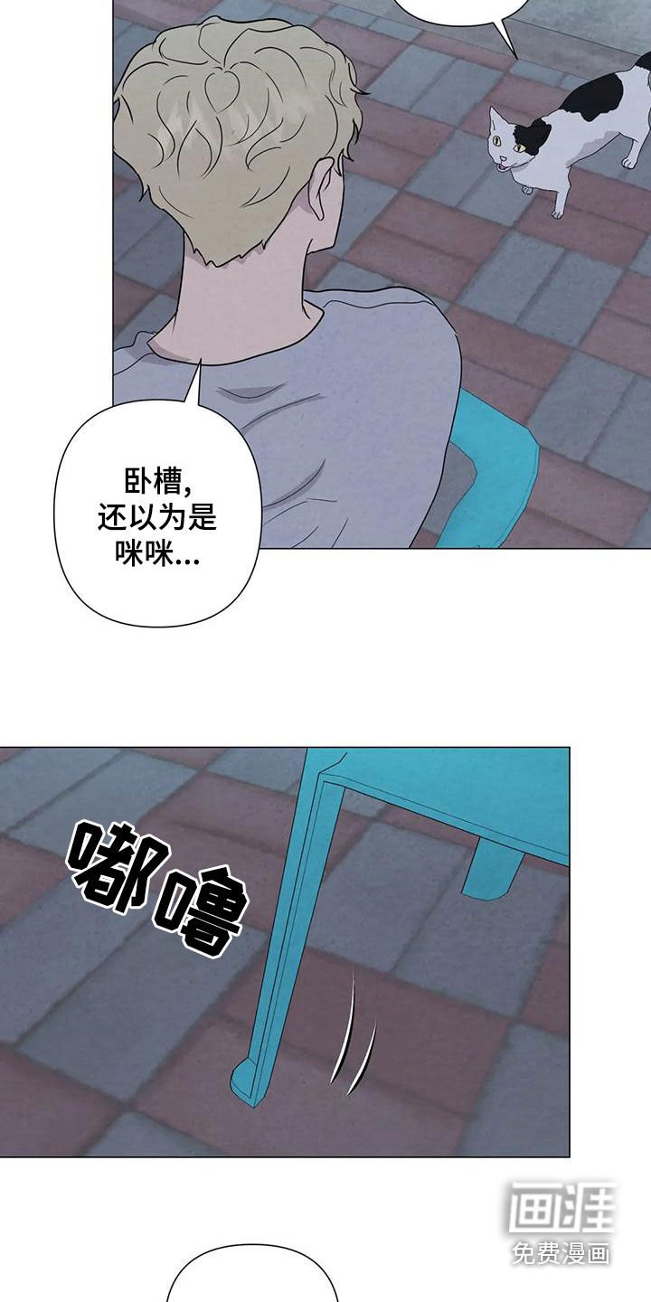 第78章：【第二季】台阶